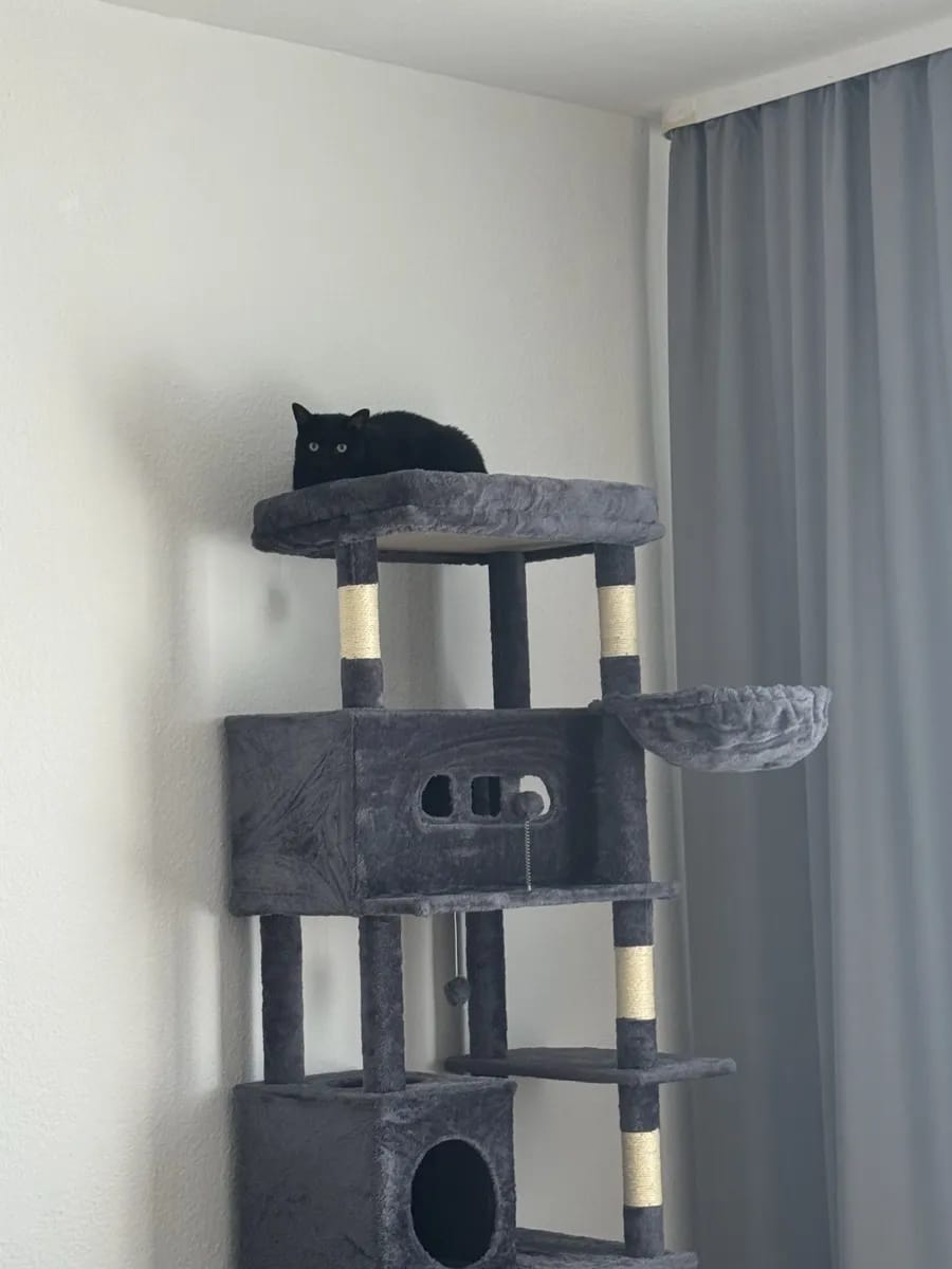 Foto da avaliação Carlos 1