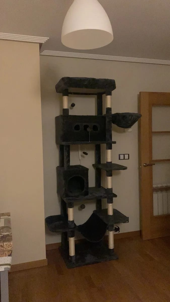 Foto da avaliação Carlos 1