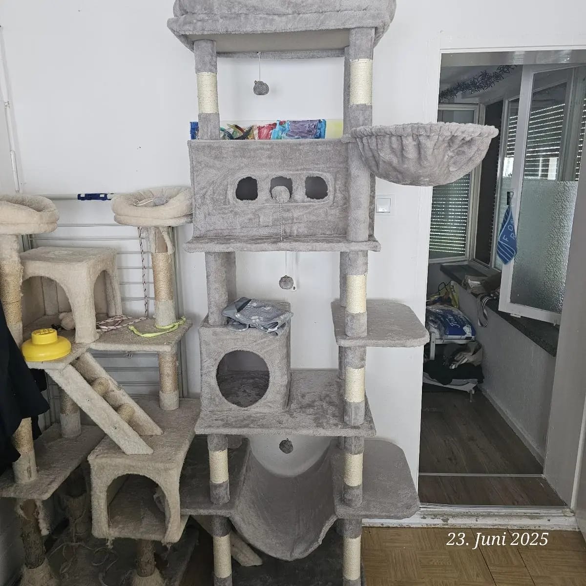 Foto da avaliação Carlos 1