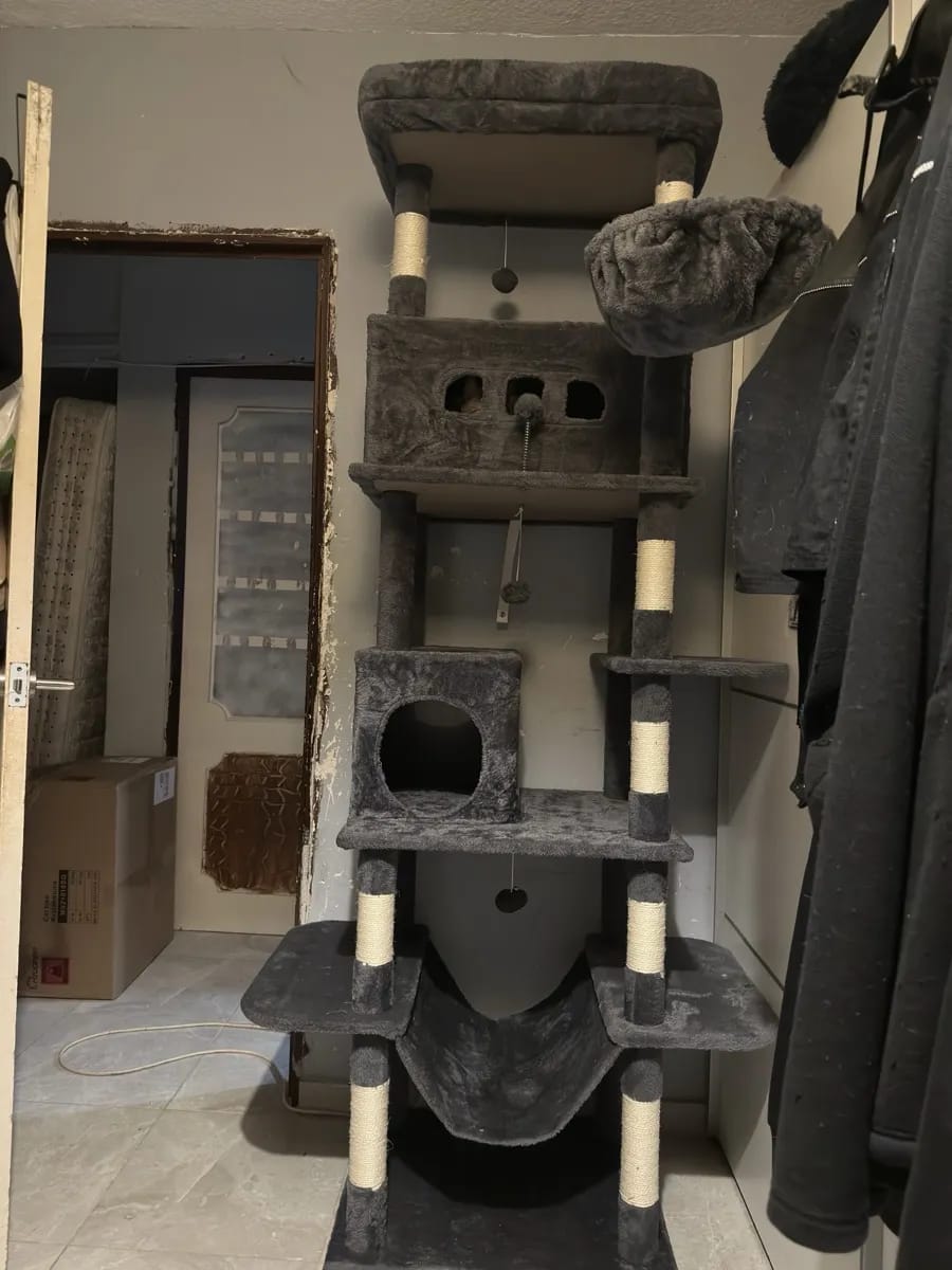 Foto da avaliação Carlos 1