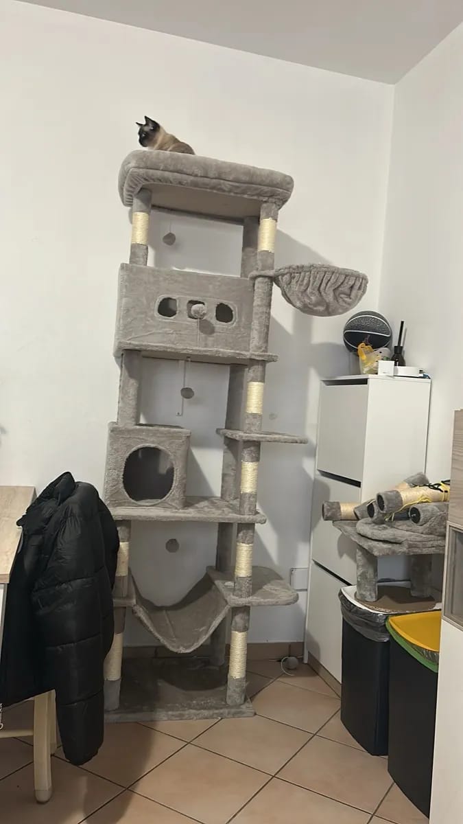 Foto da avaliação Carlos 1