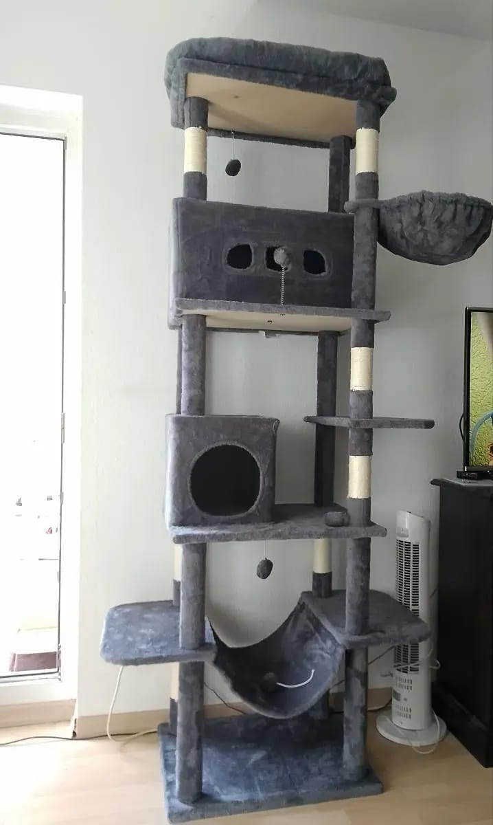 Foto da avaliação Carlos 1