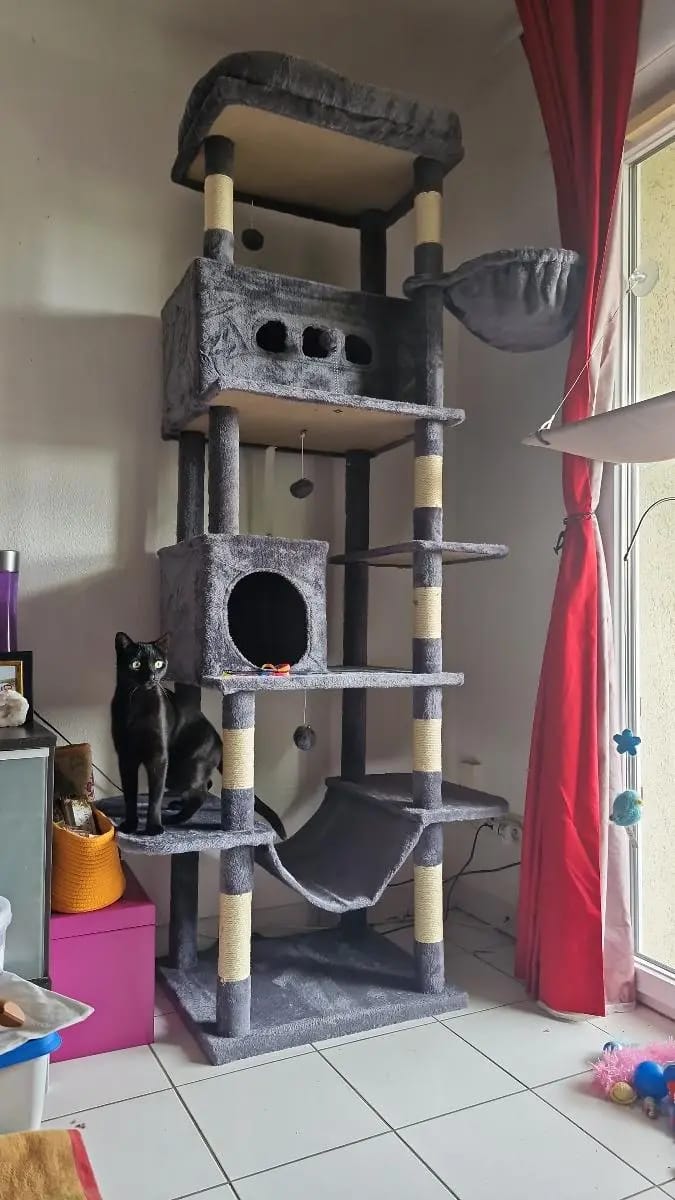 Foto da avaliação Carlos 1