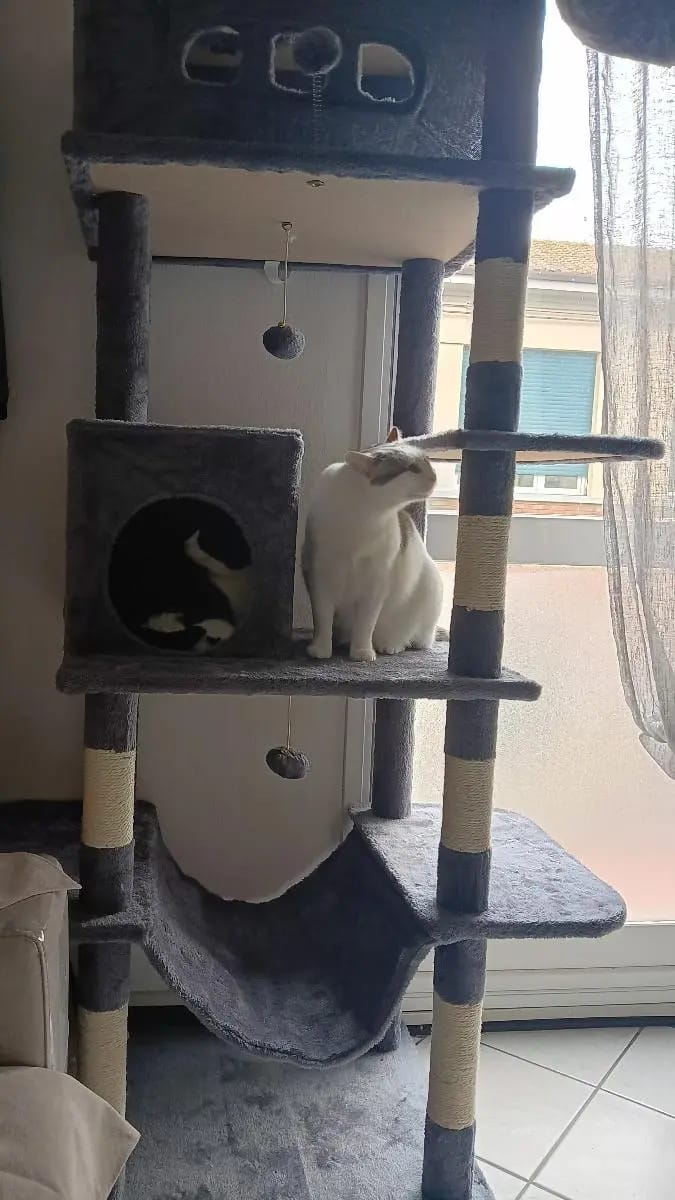 Foto da avaliação Carlos 1